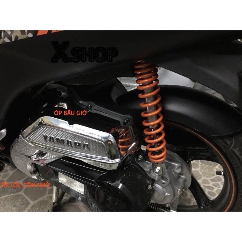 Ốp trang trí janus 2023-2016