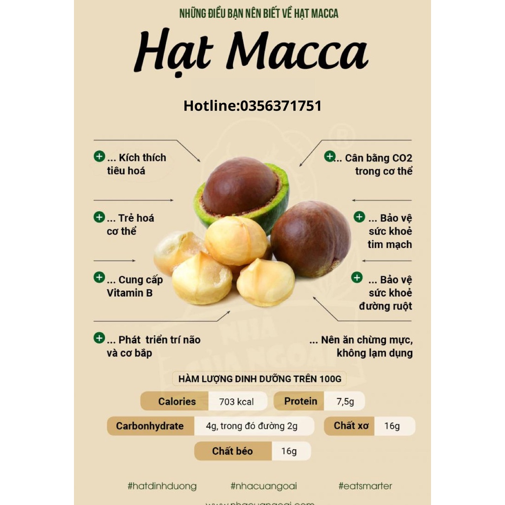 Hạt Macca  Sạch nứt vỏ hũ kèm tách vỏ 500g Size Chuẩn 22mm-30mm