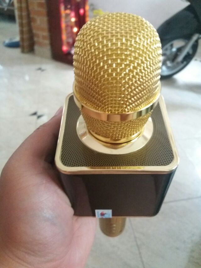 Mic karaoke YS11