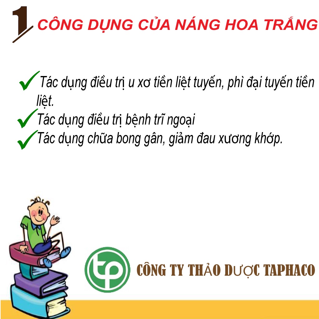 Náng hoa trắng khô