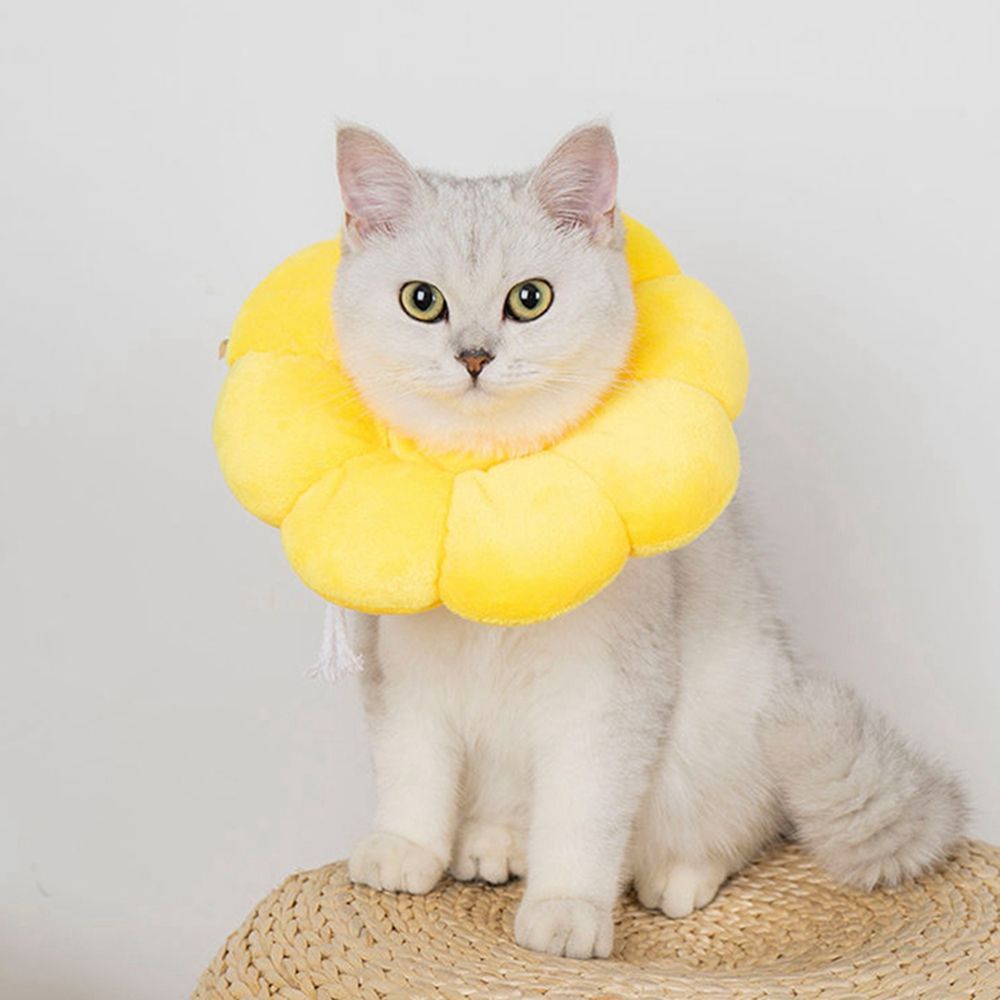 YIYU 1 vòng cổ bằng cotton mềm nhiều màu sắc chống liếm cho thú cưng