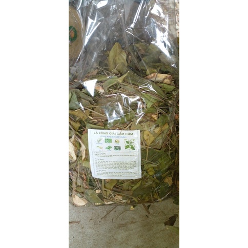 Lá xông giải cảm cúm