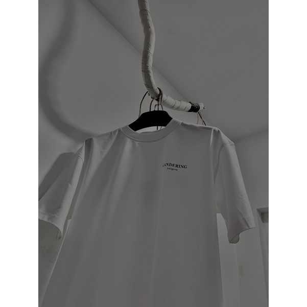 Áo Wandering basic tee 01