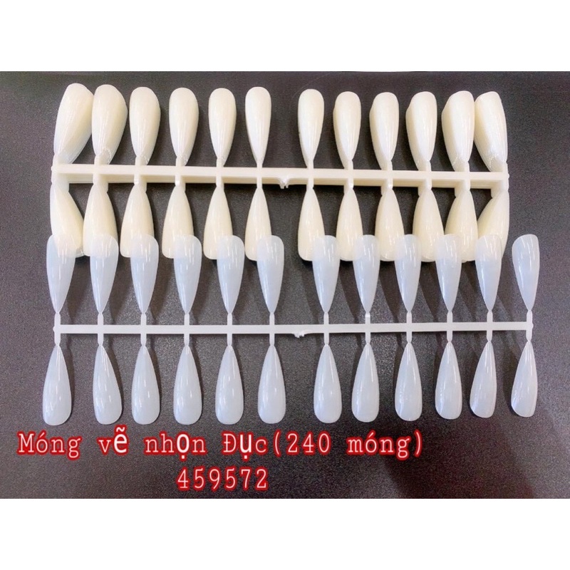 Vĩ móng nhọn tập sơn , tập vẽ