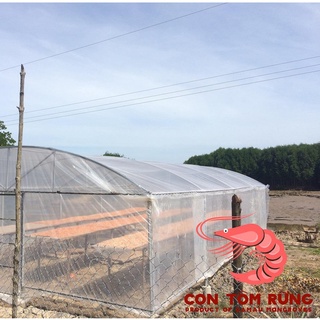 Tôm khô Cà Mau ngon - [Size mini] - Con Tôm Rừng