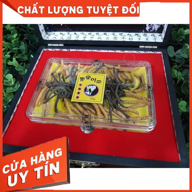 Đông Trùng Hạ Thảo Hàn Quốc – Nguyên Con