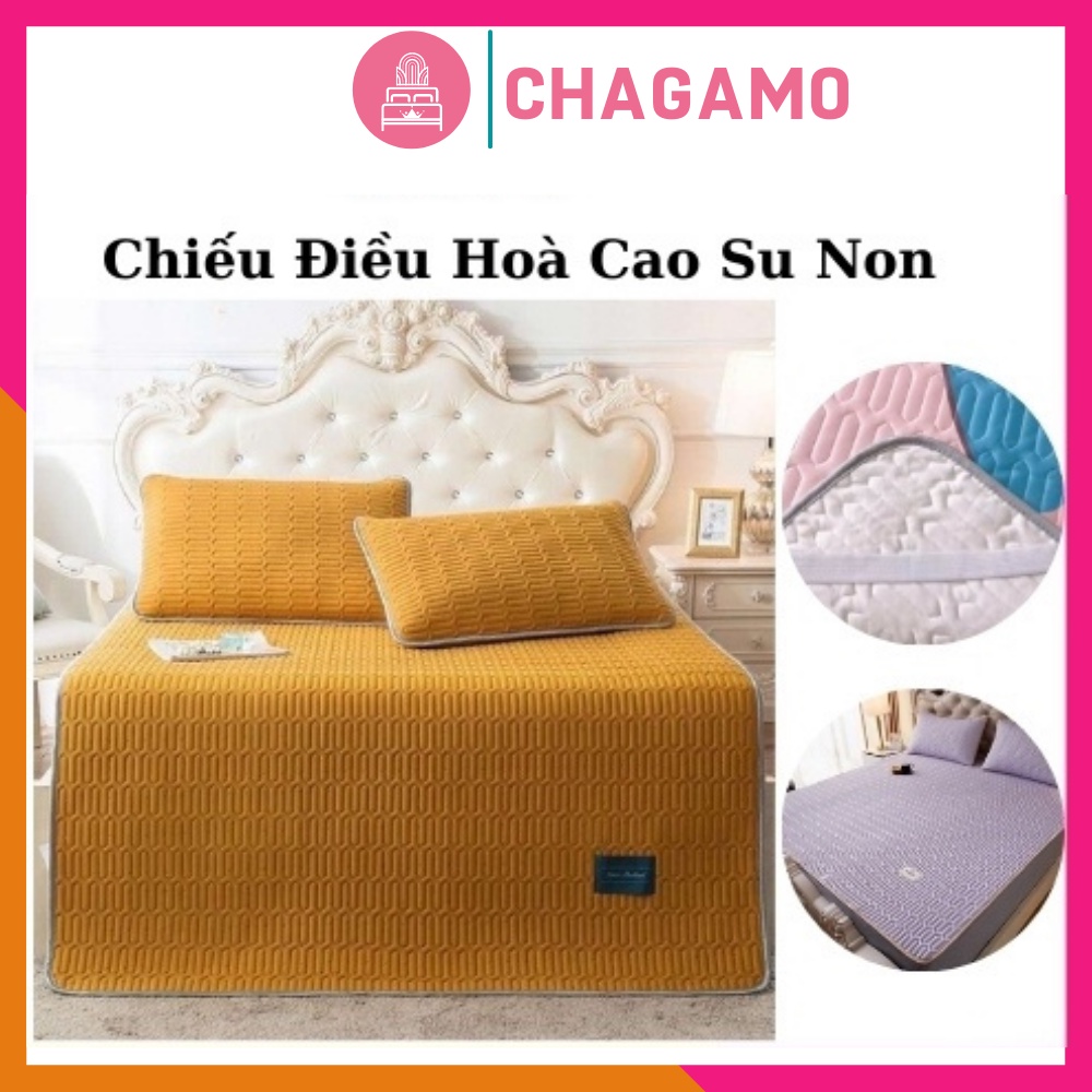 Chiếu Điều Hoà Cao Su Non Tencel Latex Hàng Loại 1 Siêu Cấp (Mẫu Y Hình)