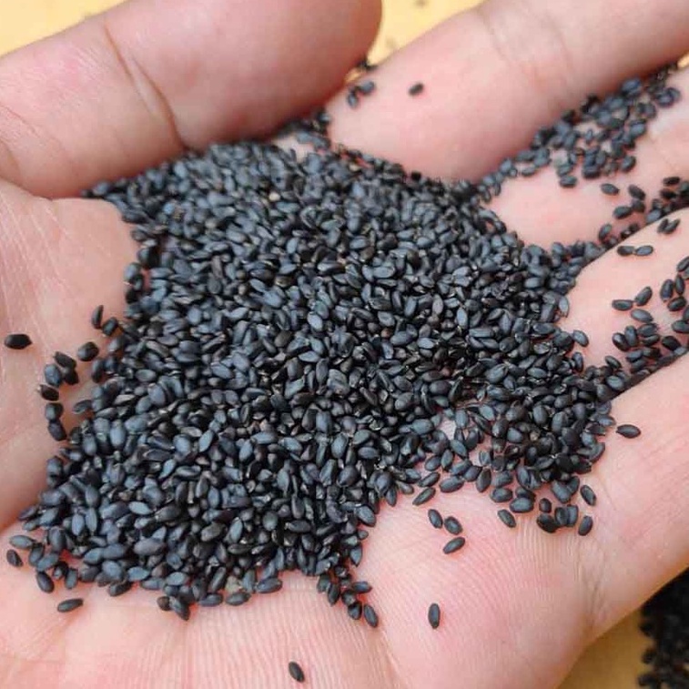 Hạt É Thơm Ngon Túi 500g Thương Hiệu Moon View