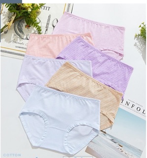 Quần chip coton loại 1