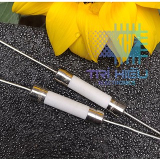 Cầu chì DIP sứ trắng chân cắm 250V 20A loại to