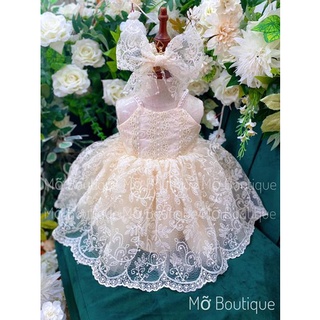 Váy ren yếm cổ ngọc