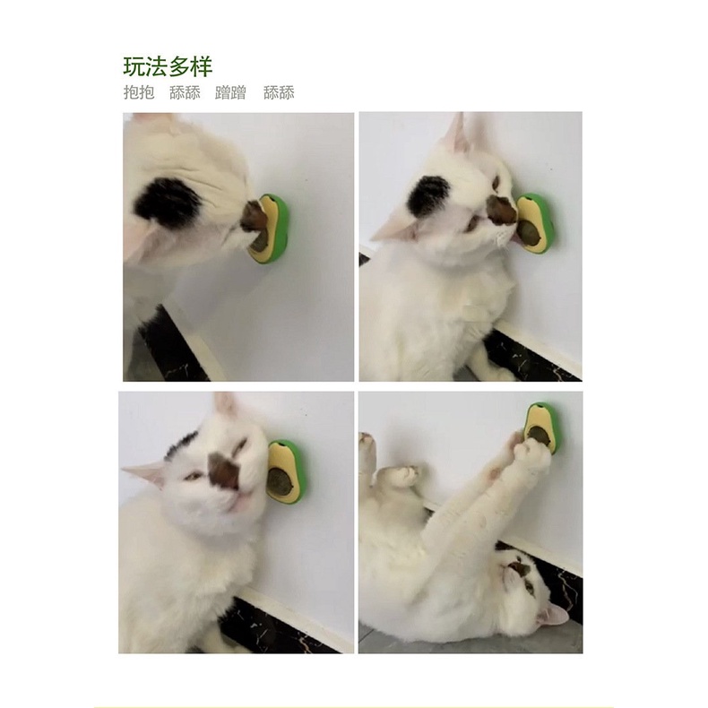 [ NHIỀU HÌNH ] kẹo cỏ bạc hà (catnip) dành cho mèo