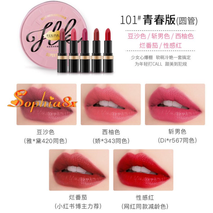 Set 5 son thỏi mini vừa mịn vừa lì môi Feilinka Super Star