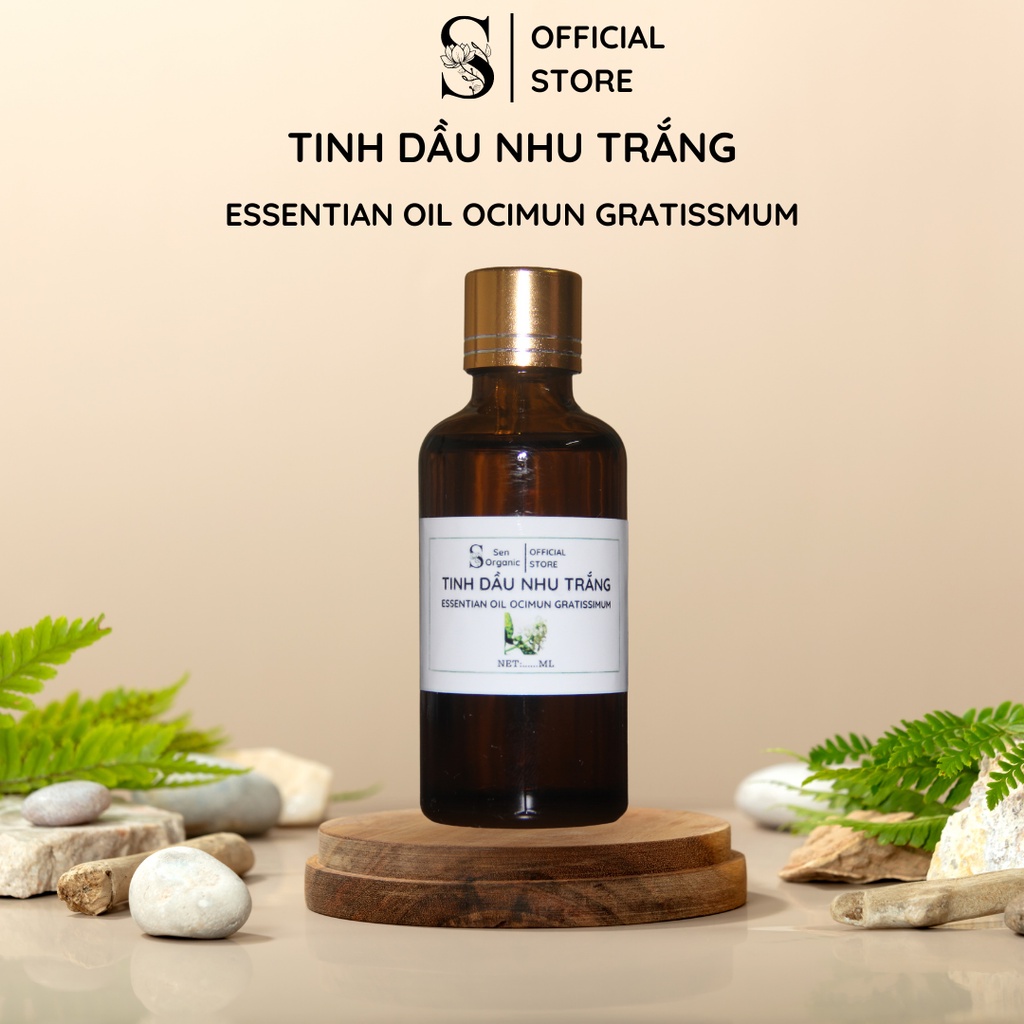 Tinh Dầu Hương Nhu Trắng - ESSENTIAN OIL OCIMUN GRATISSIMUM | Dung Tích 10-50ml | nSe Organic