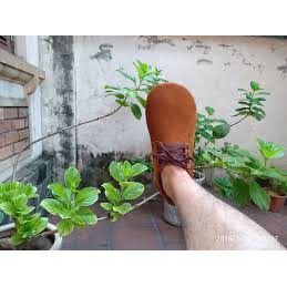 [Hàng Loại 1 siêu bền] Giày Đá Cầu, giày Mỏ Vịt Đá Cầu Loại Tốt Cao Cấp - LYLY SPORTS