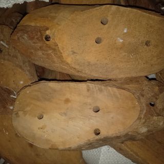 Gỗ vú sữa trồng lan