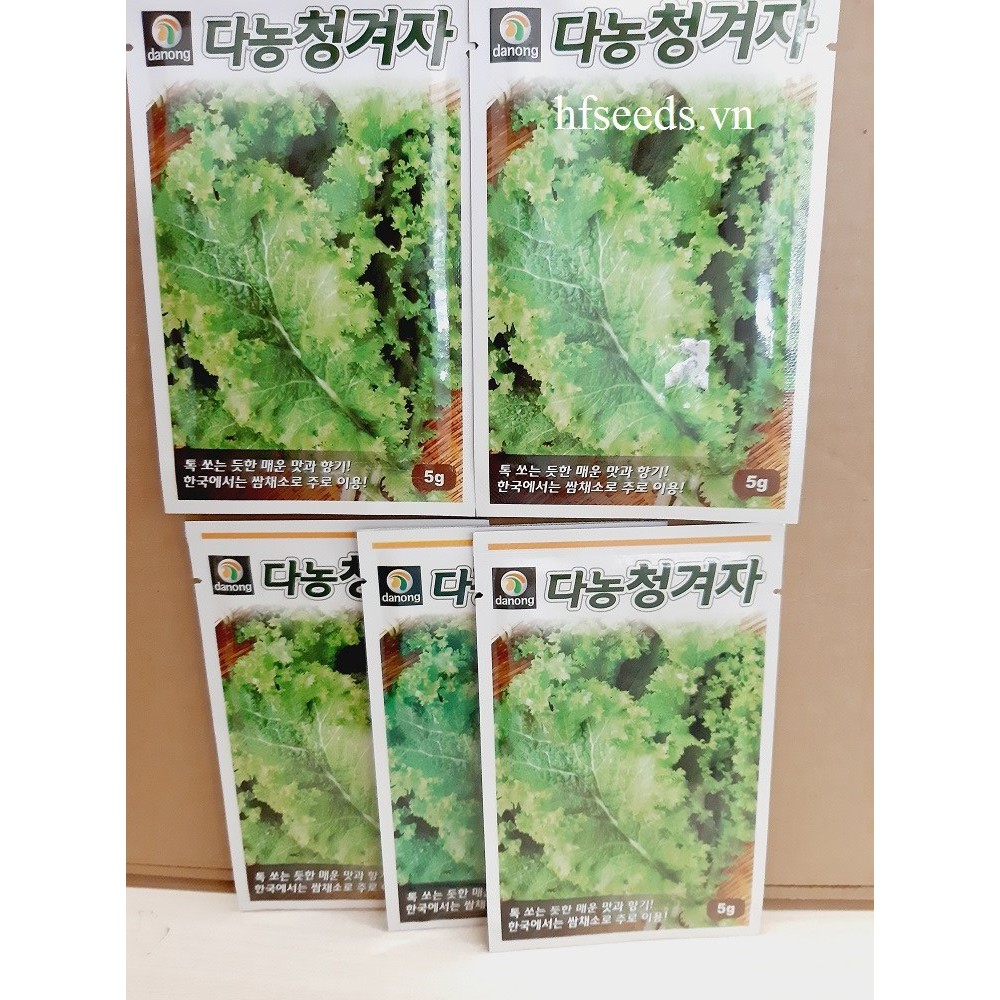 [Hạt giống Mỹ] Hạt giống cải mù tạt xanh Hàn Quốc ăn sống siêu ngon - tỷ lệ nảy mầm 95%