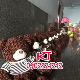 Gấu teddy