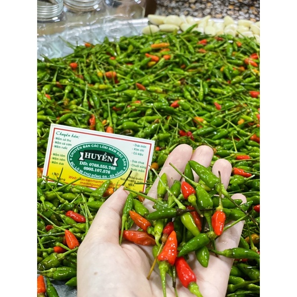 Ớt hiểm dân tộc cay dì Huyền  - Giá gốc không qua trung gian