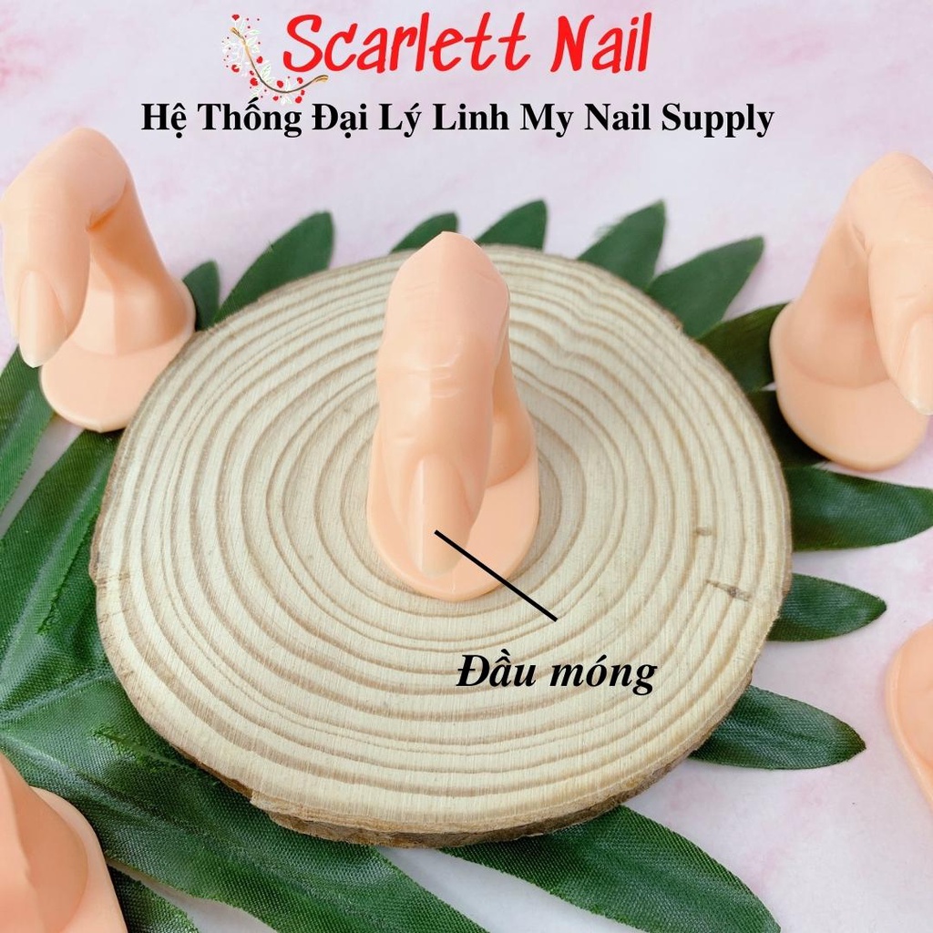 Ngón Tay Giả Có Móng Tập Sơn Tập Vẽ Khi Làm Nail