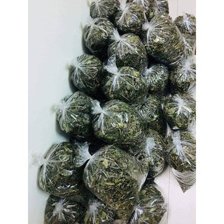 Chè vằng rừng (chè vằng sẻ) Quảng Trị
