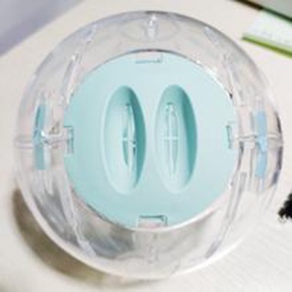 Bóng chạy mika hamster