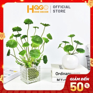 Cỏ nước (cỏ rau má lá sen) nhân tạo trang trí bể cá ,tiểu cảnh,sân vườn, ban công