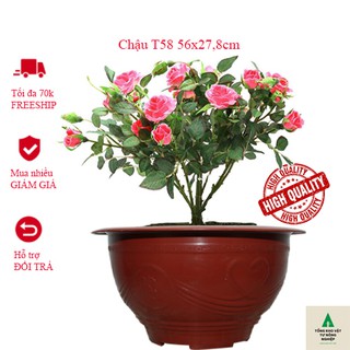 Chậu nhựa tròn đỏ dập hoa văn nổi màu mã CN10T58 loại không có lỗ thoát nước size T58 (56x27,8cm)