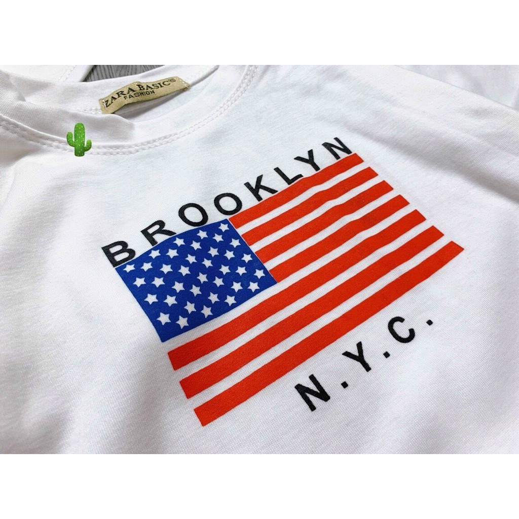 Áo thun nữ tay ngắn cổ tròn họa tiết lá cờ dáng croptop xinh chất thun đẹp mát