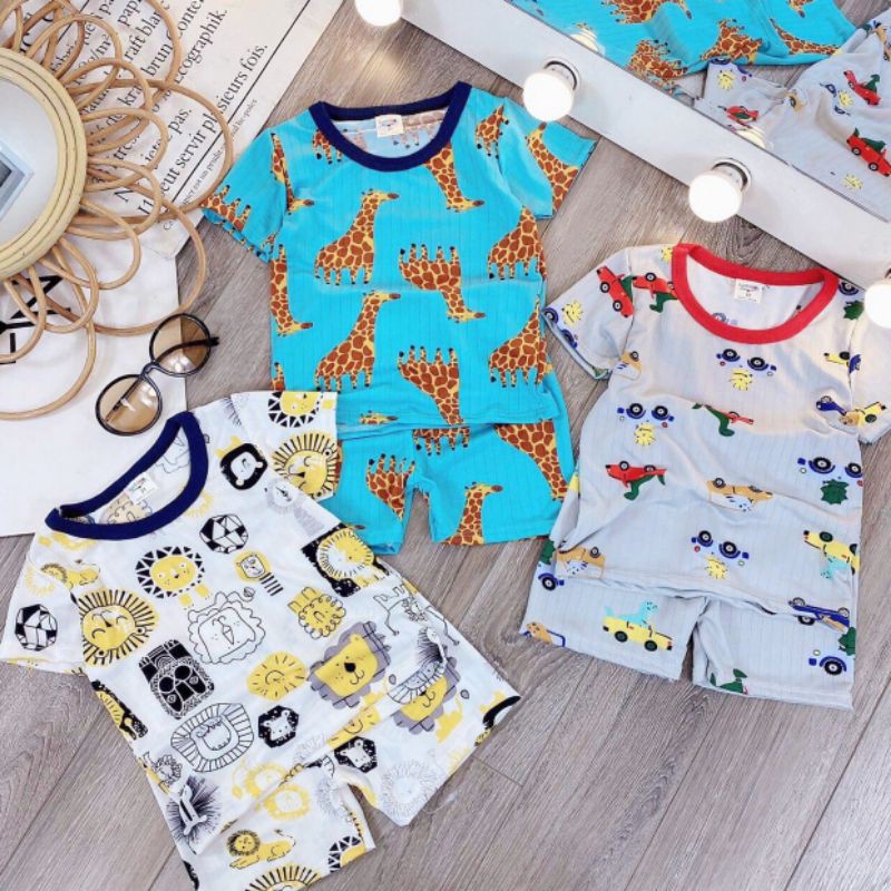 BỘ COTTON THUN LẠNH CO GIÃN 4C