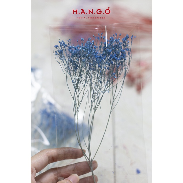 Hoa bloom khô trang trí resin, thiệp, nến thơm, handmade