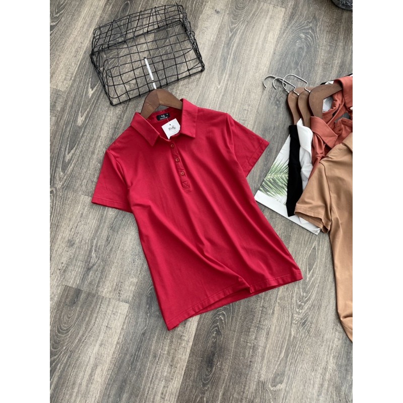 áo thun Polo t-shirt dư xịn vnxk siêu đẹp a262 | BigBuy360 - bigbuy360.vn