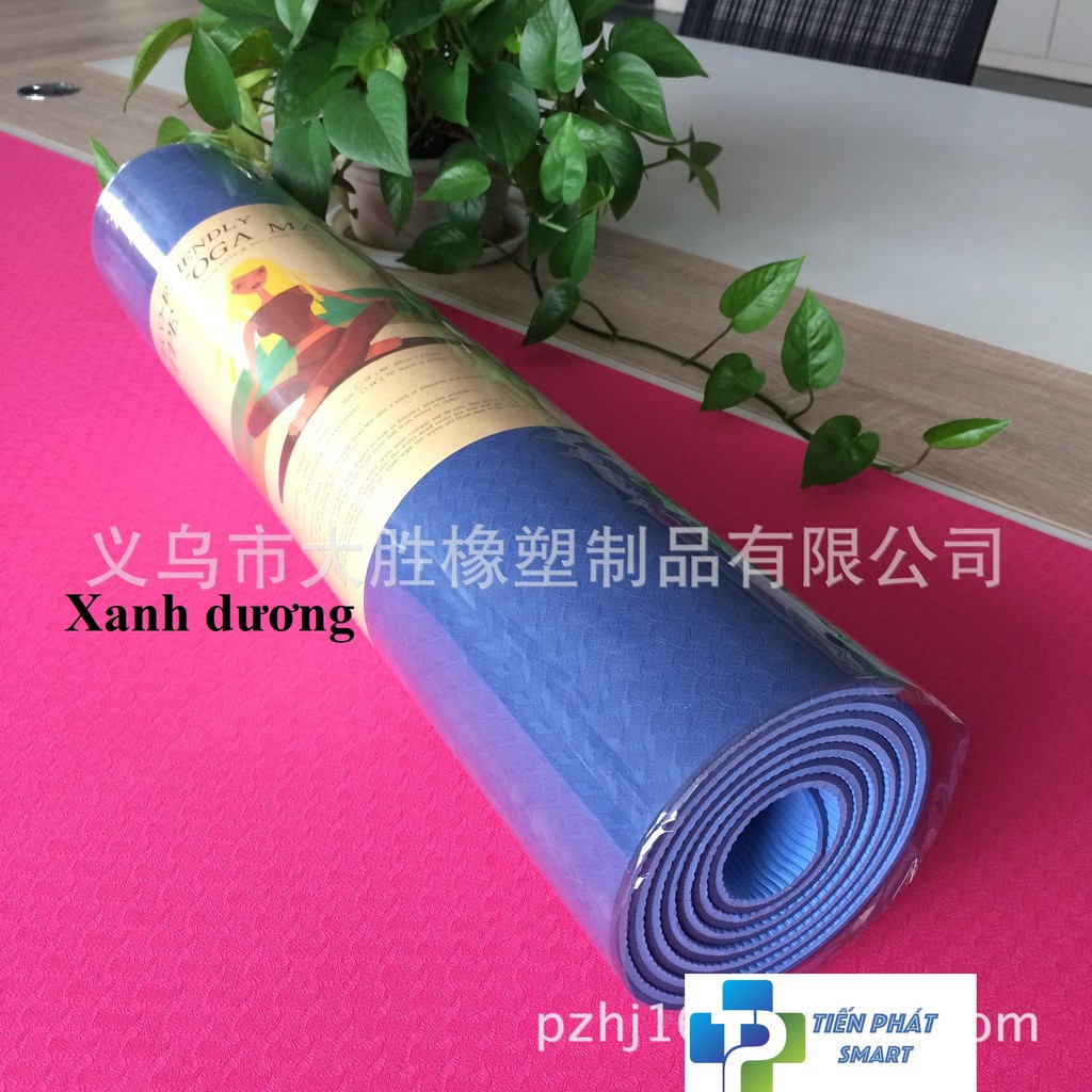 Thảm Yoga tặng kèm túi lưới TPE 2 lớp 6mm