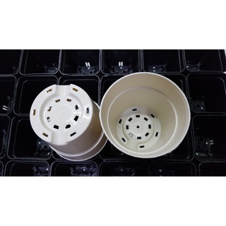Chậu tròn 10x10 trắng (Set 10 cái)
