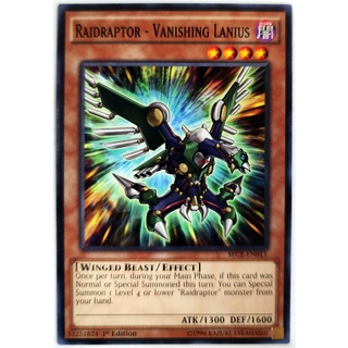 Raidraptor - Vanishing Lanius |EN| Common