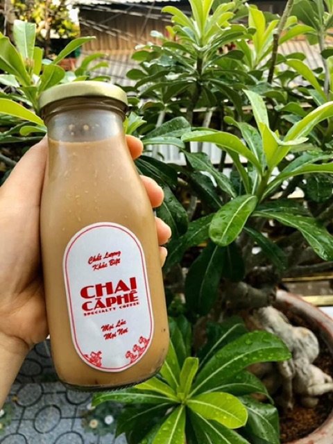 Combo 10 chai thuỷ tinh sữa hạt, sữa gạo, chè tuyết yến 200ml 250ml 300ml 500ml