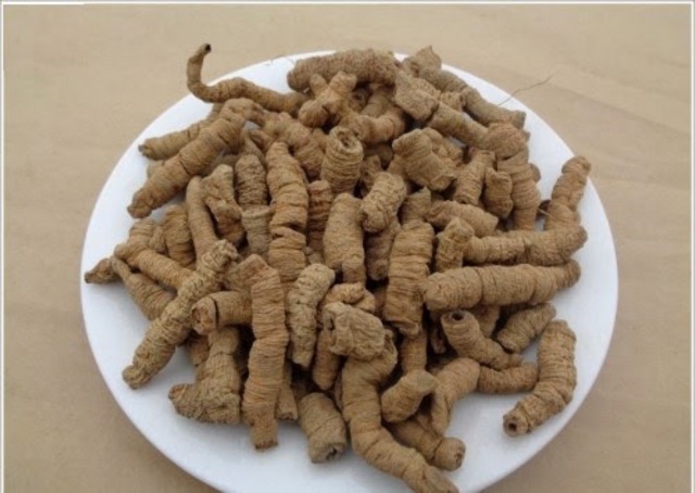 Ba kích tím Quảng Ninh đã bỏ lõi khô 500G ba kích hàng loại 1- Dược Liệu Quý
