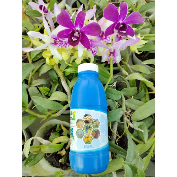 Calciam Boron 1 – Phân Bón Trung Vi Lượng 200ml