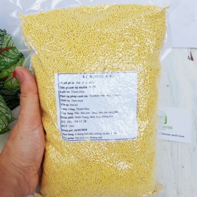 1KG | HẠT KÊ NẾP VÀNG BÓC VỎ SẠCH giàu dinh dưỡng