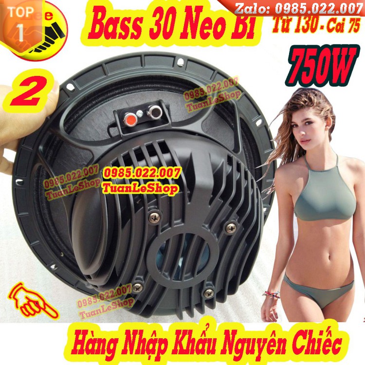 BASS 30 NEO BI 130 NHẬP KHẨU MODEL 12ND930 – GIÁ 02 CỦ LOA