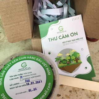 Kén giun xử lý rác thải thành phân bón - sinh khối trùn, giun giống- 150 kén