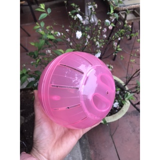 Bóng chạy Hamster.sz 15cm