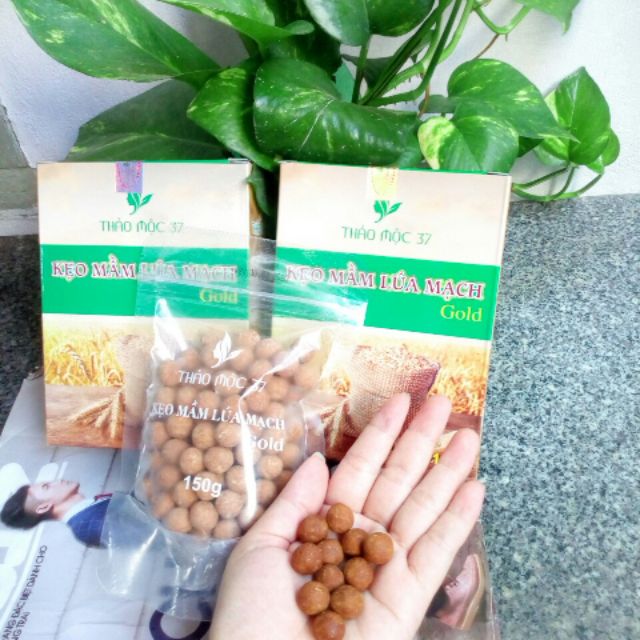 MỘT LIỆU TRÌNH 5 HỘP KẸO MẦM LÚA MẠCH THẢO MỘC GOLD 37