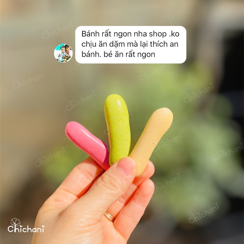 Bánh ăn dặm Chichani cho bé 6 tháng vị hoa quả tự nhiên dễ tan dạng thanh cho bé tập cầm nắm