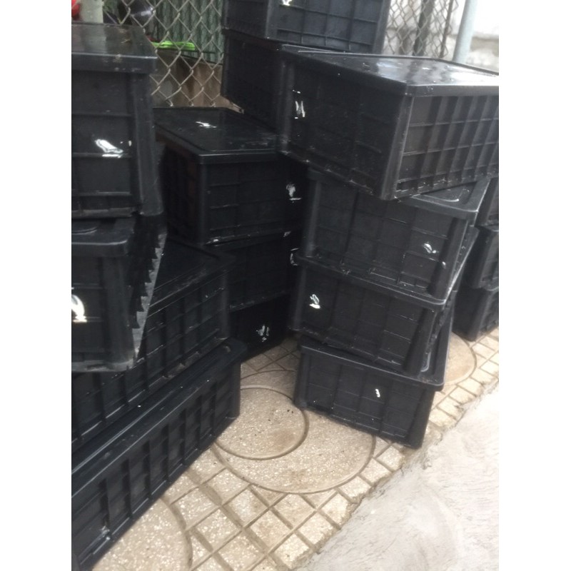 ỊNHg CHÂN SỨA KHÔ ĂN LIỀN - ĐẶC SẢN QUẢNG NINH | BigBuy360 - bigbuy360.vn