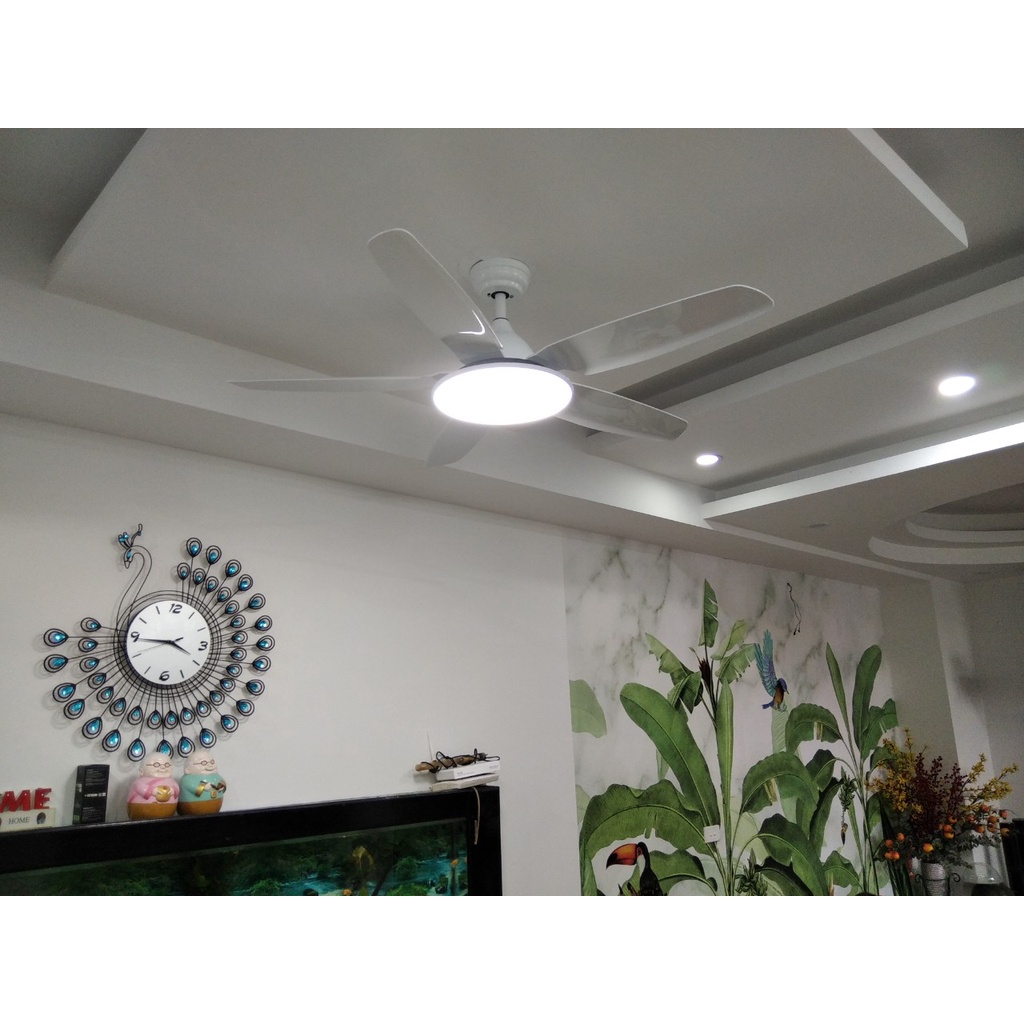 Quạt Trần Đèn Simple 5 cánh THỦ ĐÔ LIGHTING Ánh Sáng 3 Chế Độ Màu Điều Khiển Từ Xa 6 Cấp Độ Gió