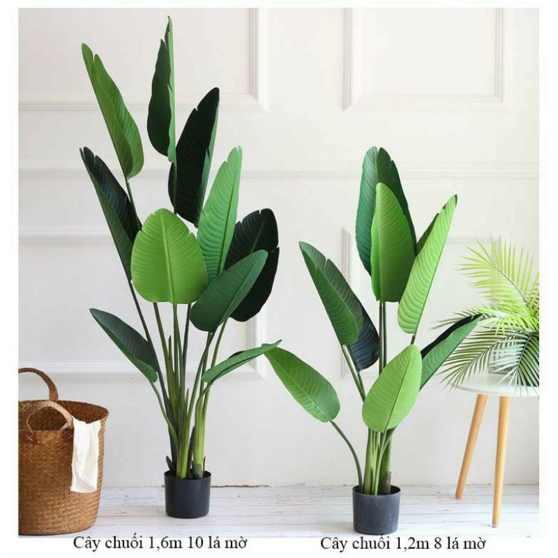 cây chuối giả decor