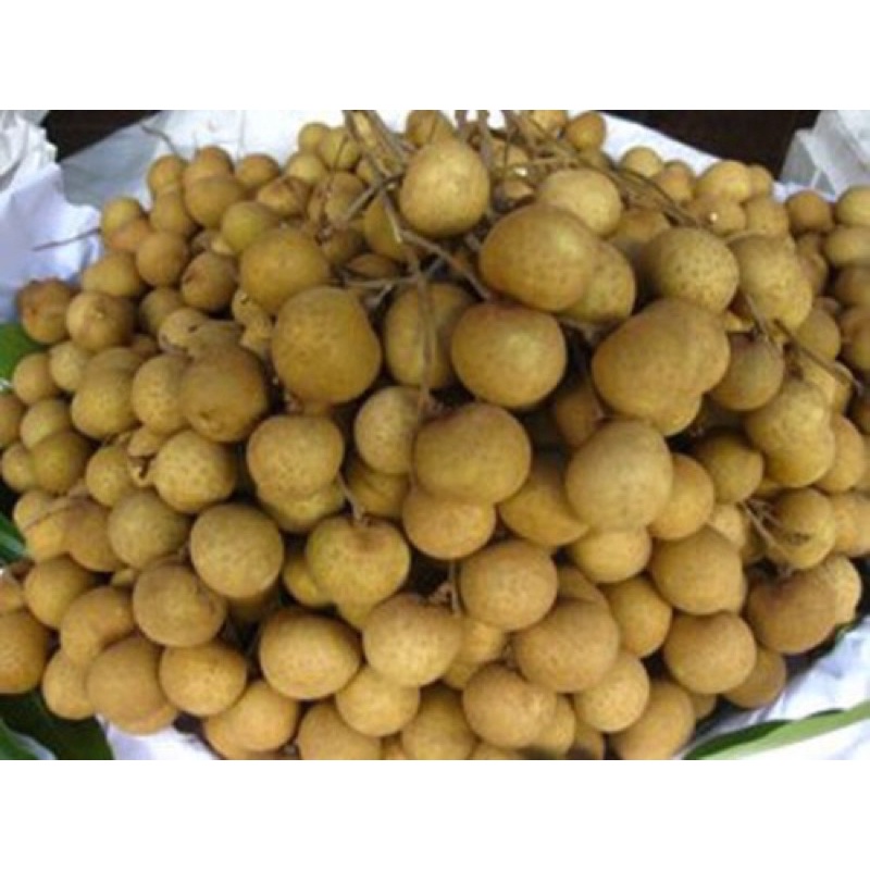 Nhãn Tiêu Thái Bao Ngon và Ngọt