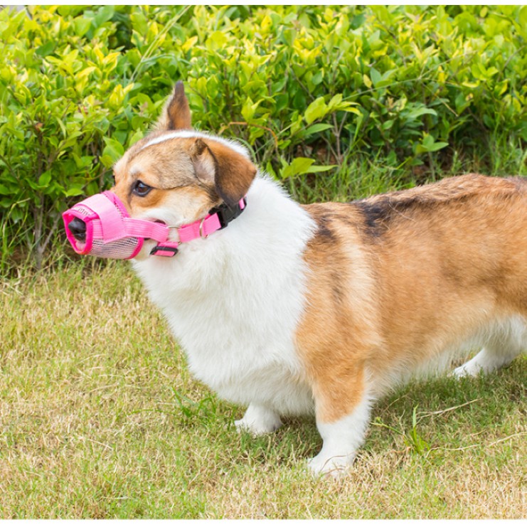 RỌ MÕM CHO CHÓ BẰNG VẢI LƯỚI THOÁNG KHÍ (COMBO: 10 CÁI) -  LOVE PETS SHOP