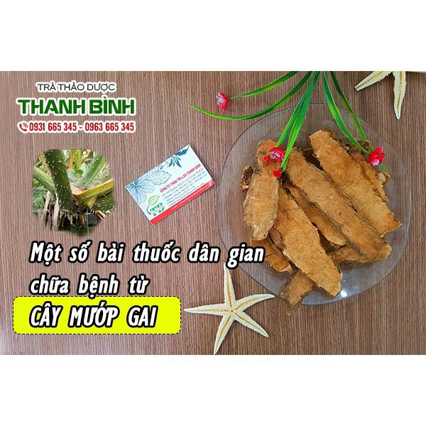 Cây Mướp Gai 100g Cây Móp Gai - Thảo Dược Thanh Bình